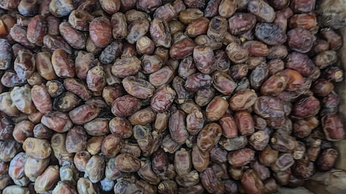 تصویر 2 از قیمت خرید خرمای خضراوی + فروش ویژه